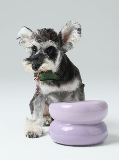 The Soufflé Bowl in Lilac