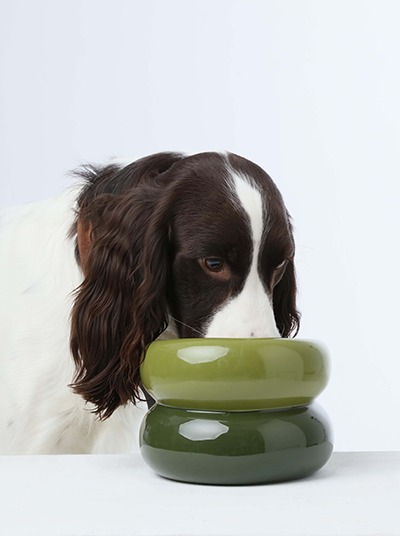 The Soufflé Bowl in Avocado Green