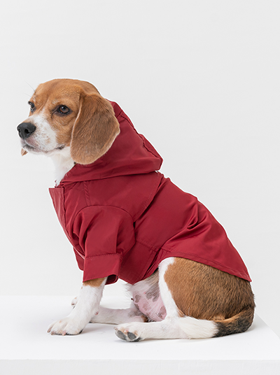 Tribeca Raincoat in Red