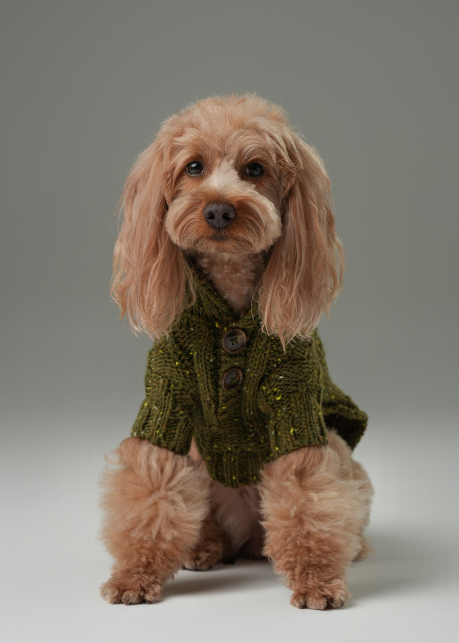 Chelsea Knit Sweater in Olive