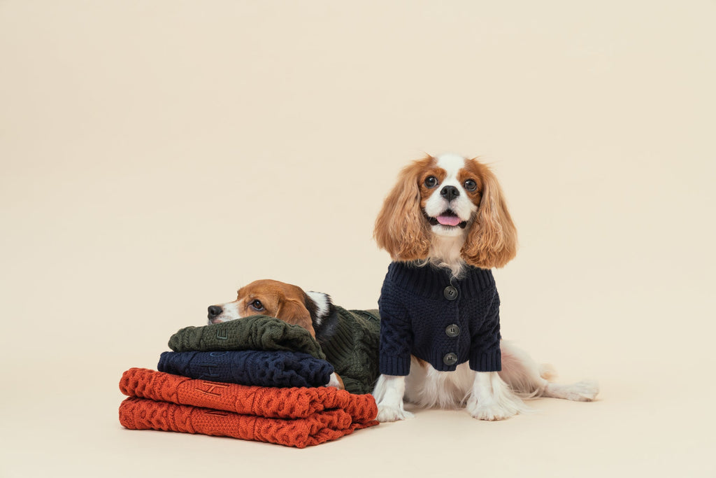 Soho Cardigan in Rust
