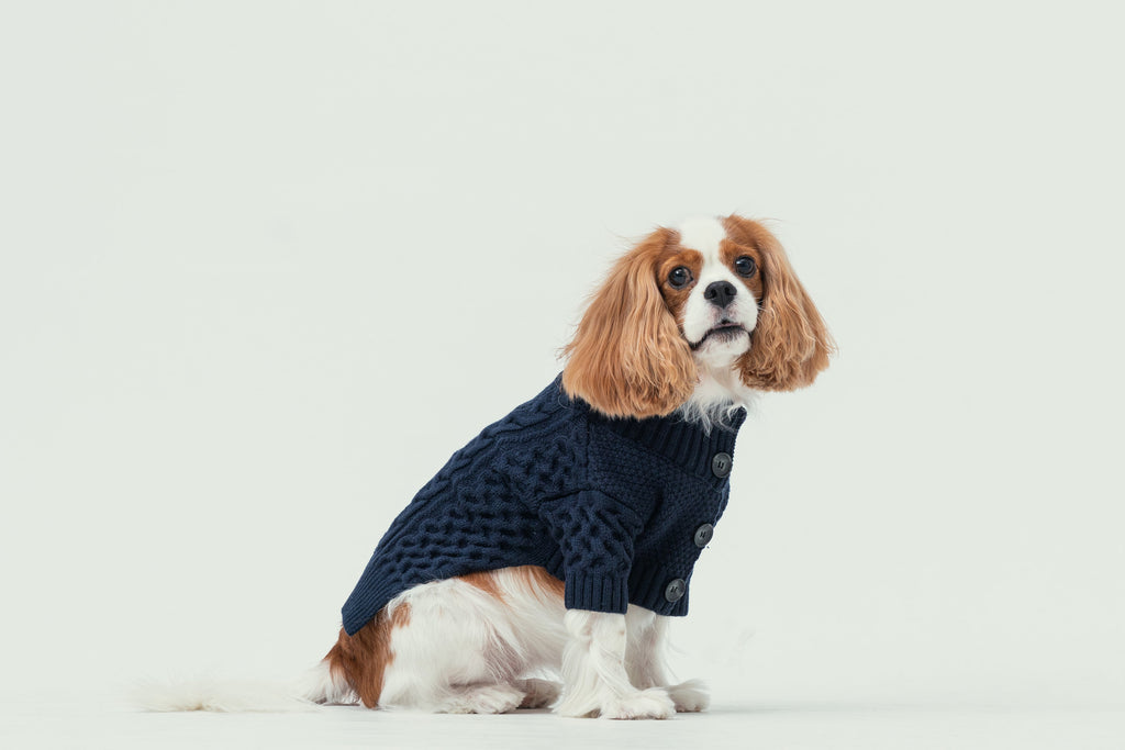 Soho Cardigan in Navy