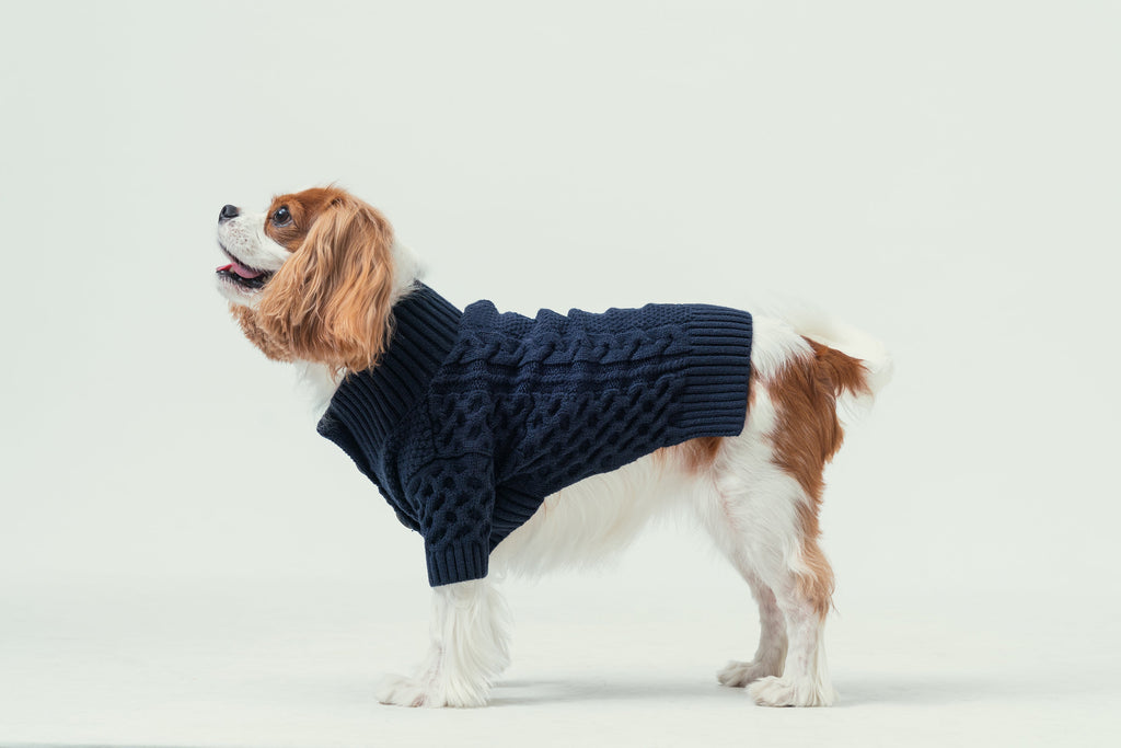 Soho Cardigan in Navy