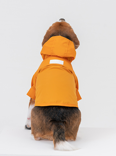 Tribeca Raincoat in Mustard