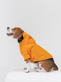 Tribeca Raincoat in Mustard