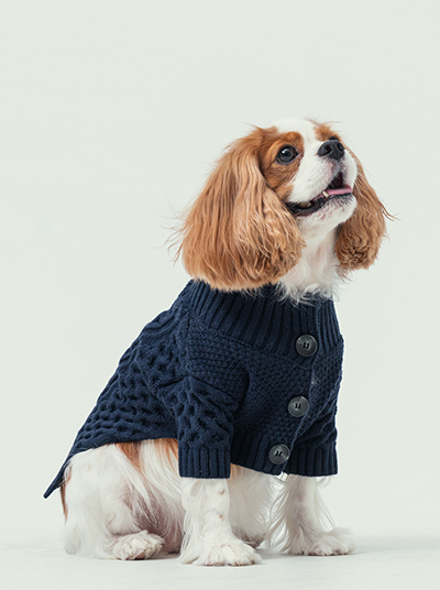 Soho Cardigan in Navy