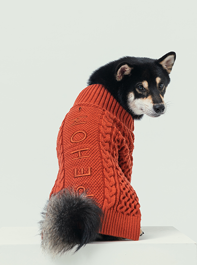 Soho Cardigan in Rust