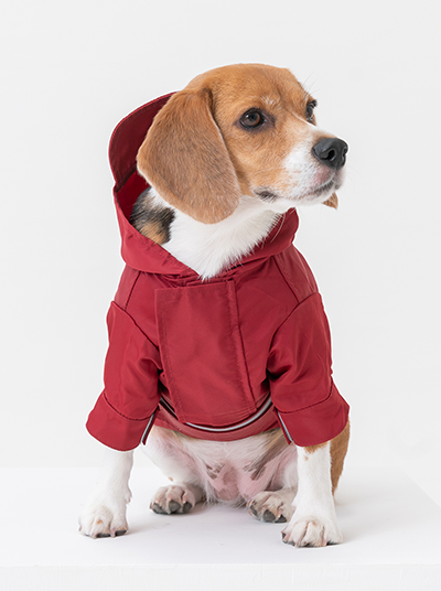 Tribeca Raincoat in Red