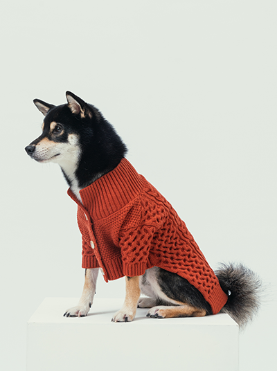 Soho Cardigan in Rust