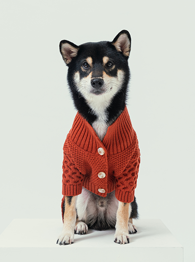 Soho Cardigan in Rust