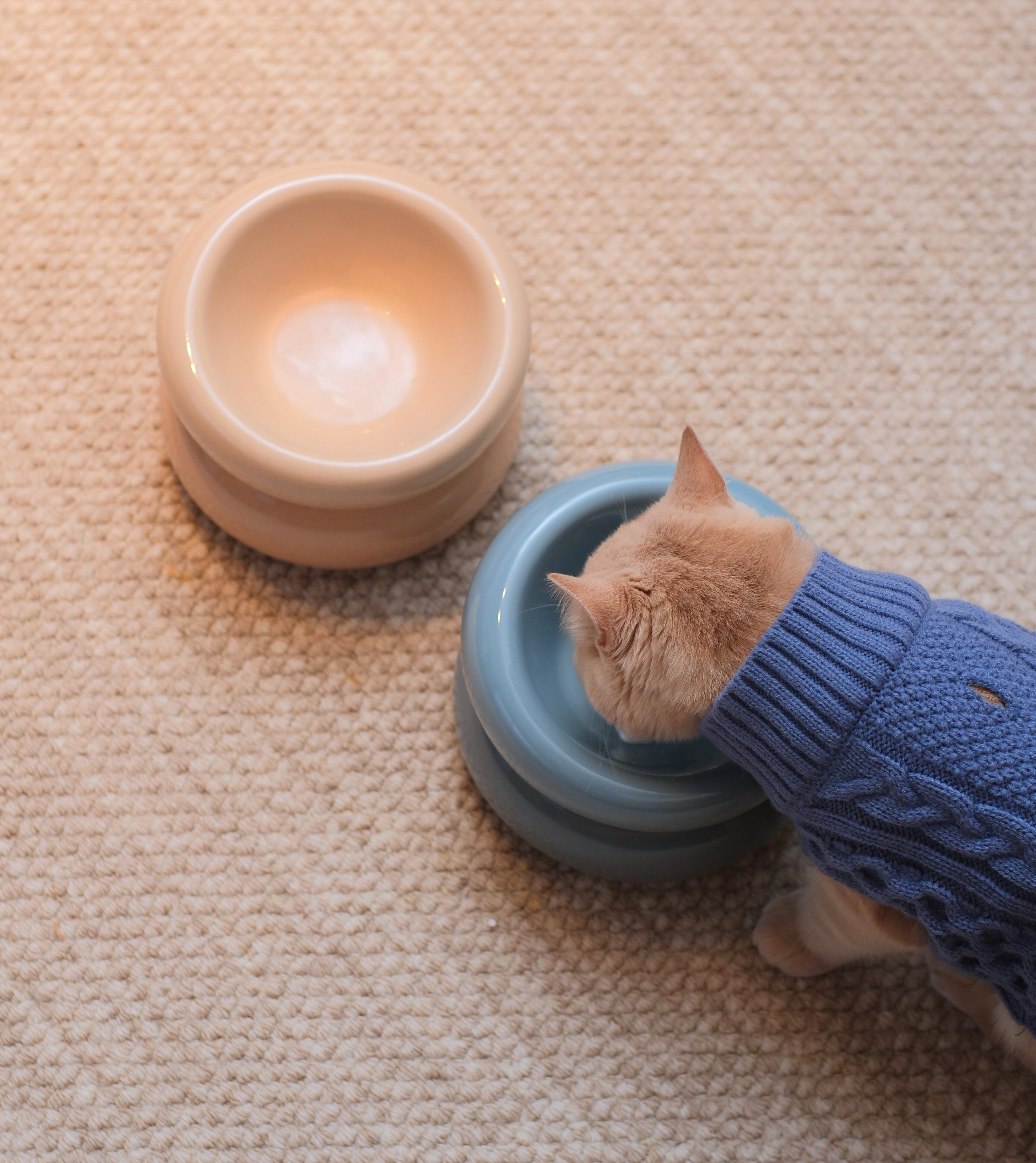 The Soufflé Bowl in Cream