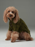 Chelsea Knit Sweater in Olive