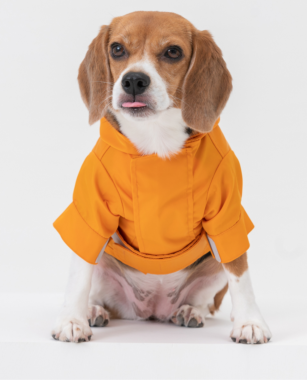 Tribeca Raincoat in Mustard