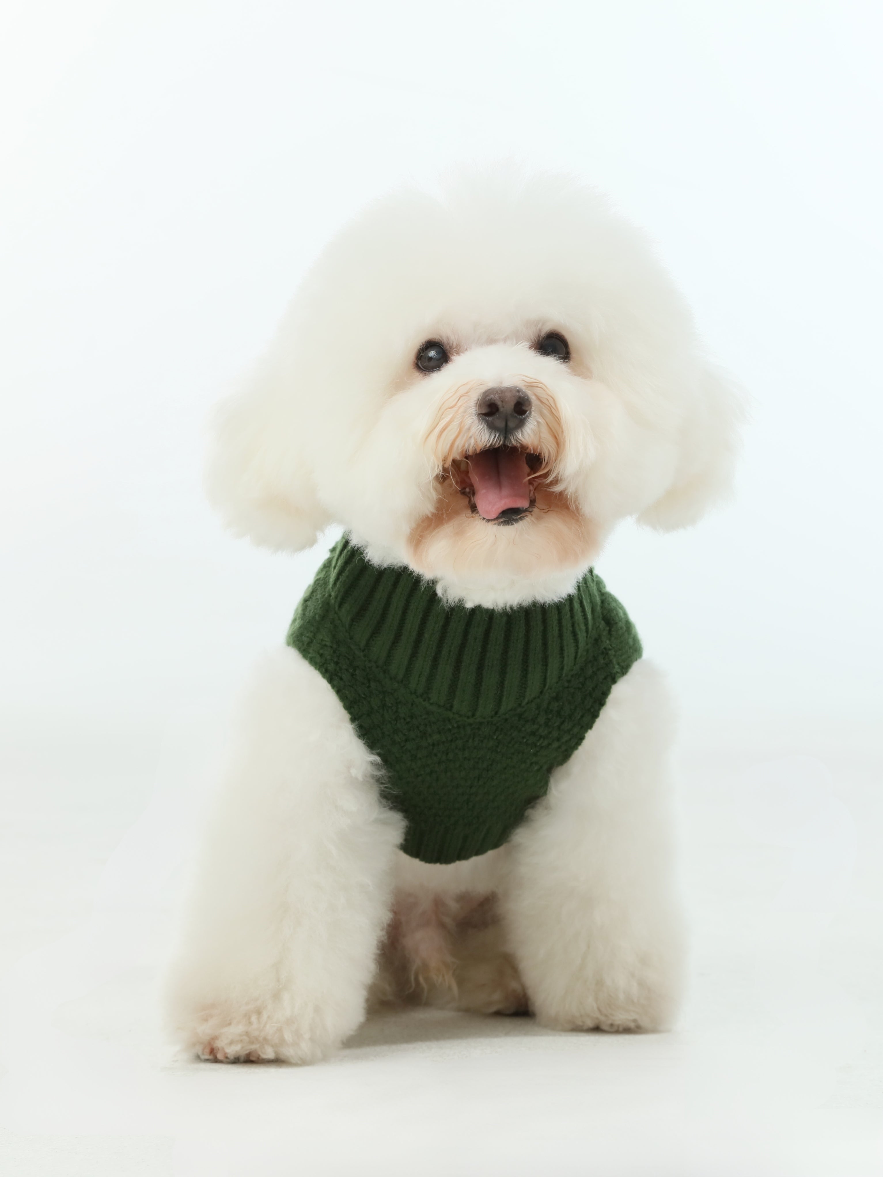 The Sweater Vest in Green