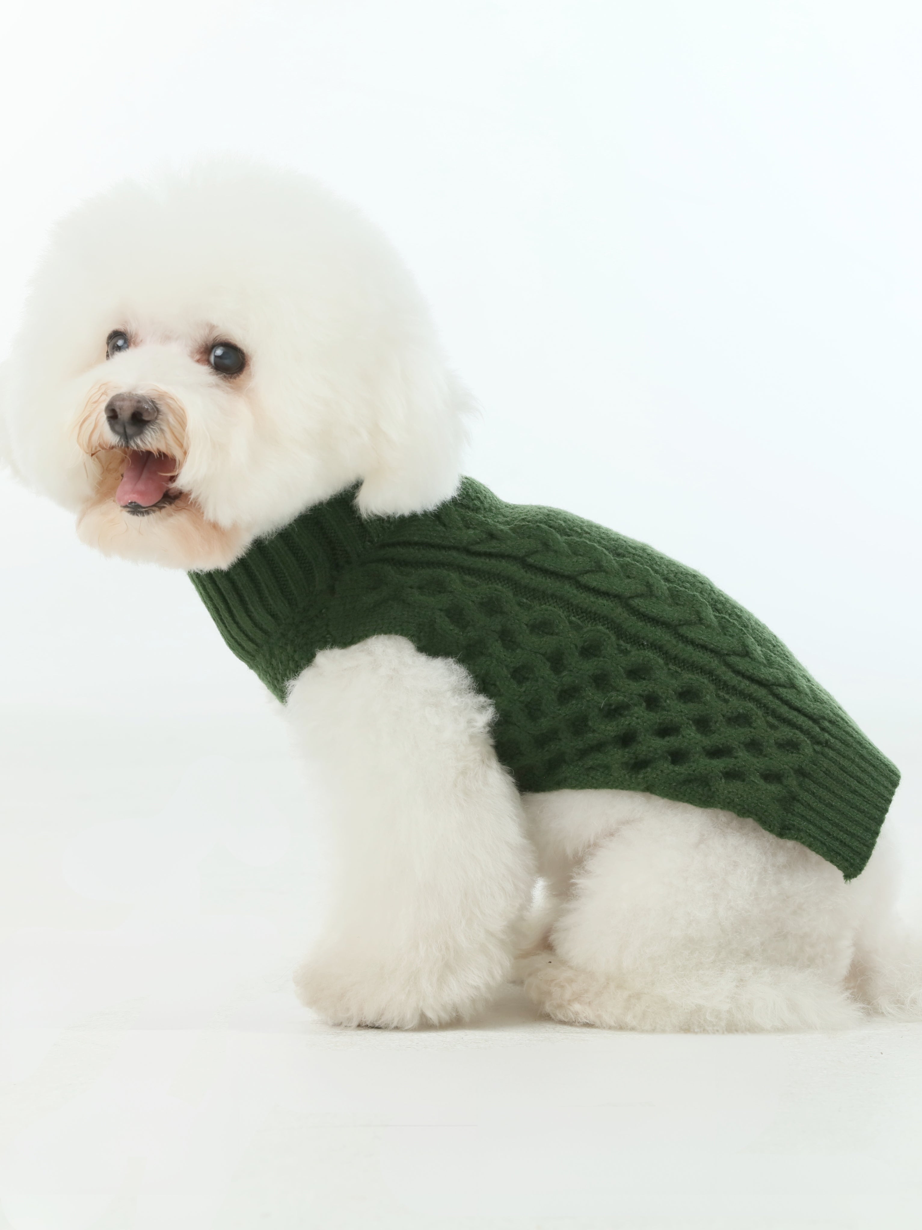 The Sweater Vest in Green
