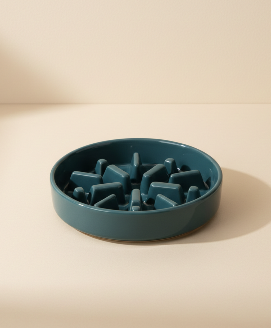 Spark Slow Feeder Dog Bowl
