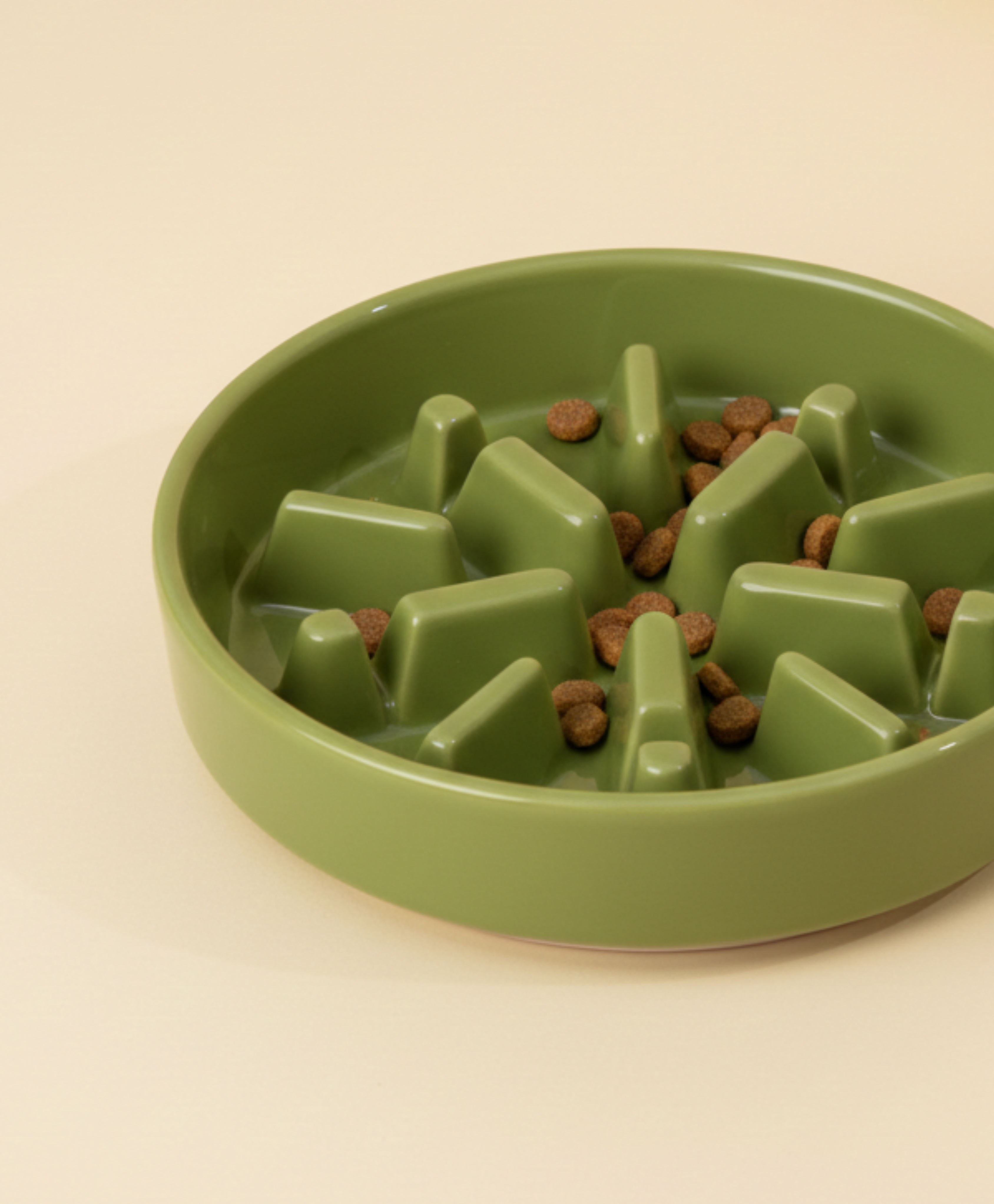 Spark Slow Feeder Dog Bowl
