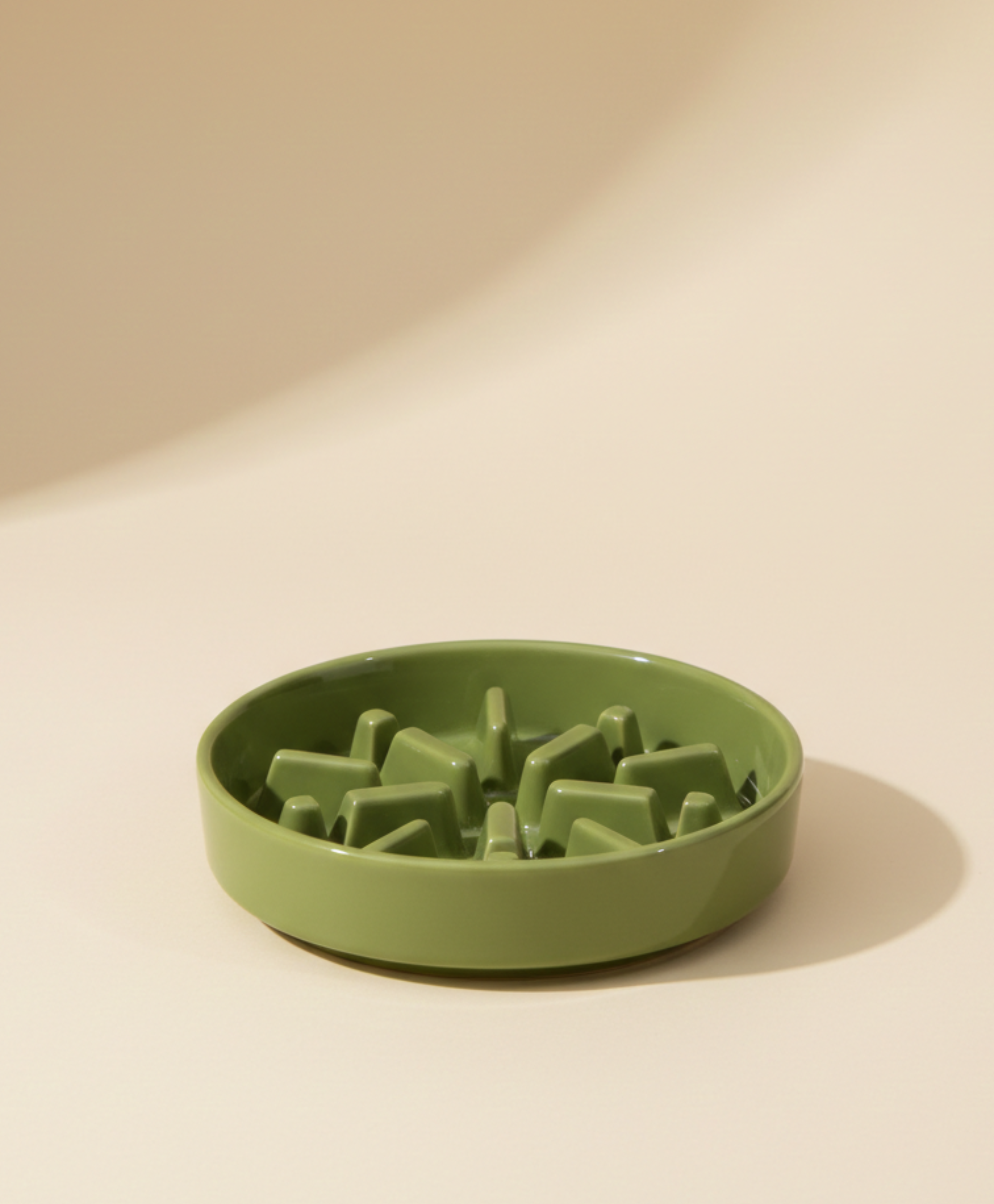 Spark Slow Feeder Dog Bowl