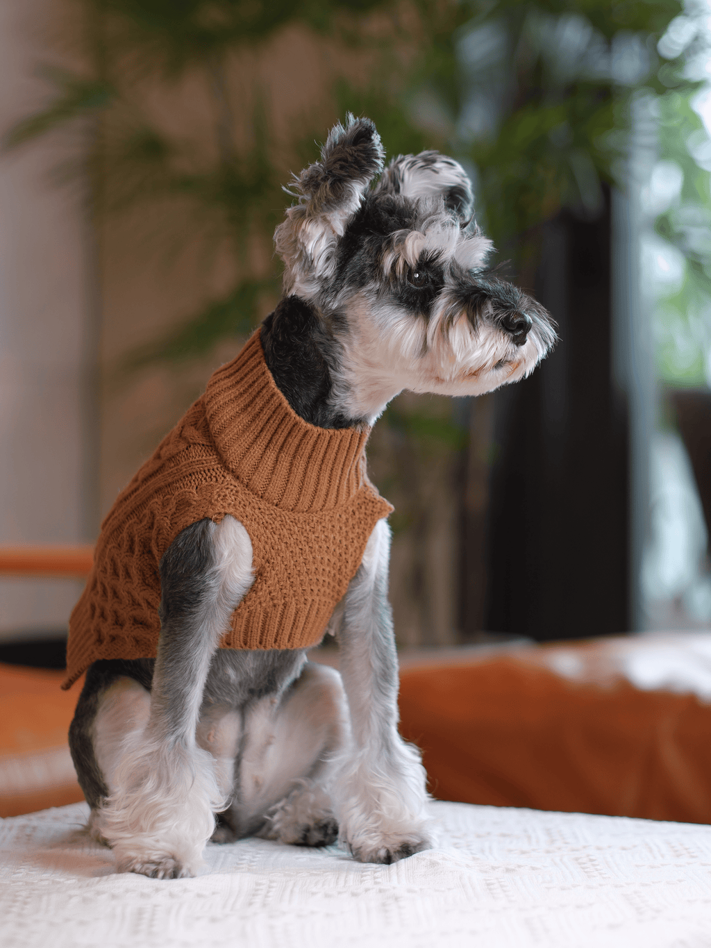 The Sweater Vest in Toffee