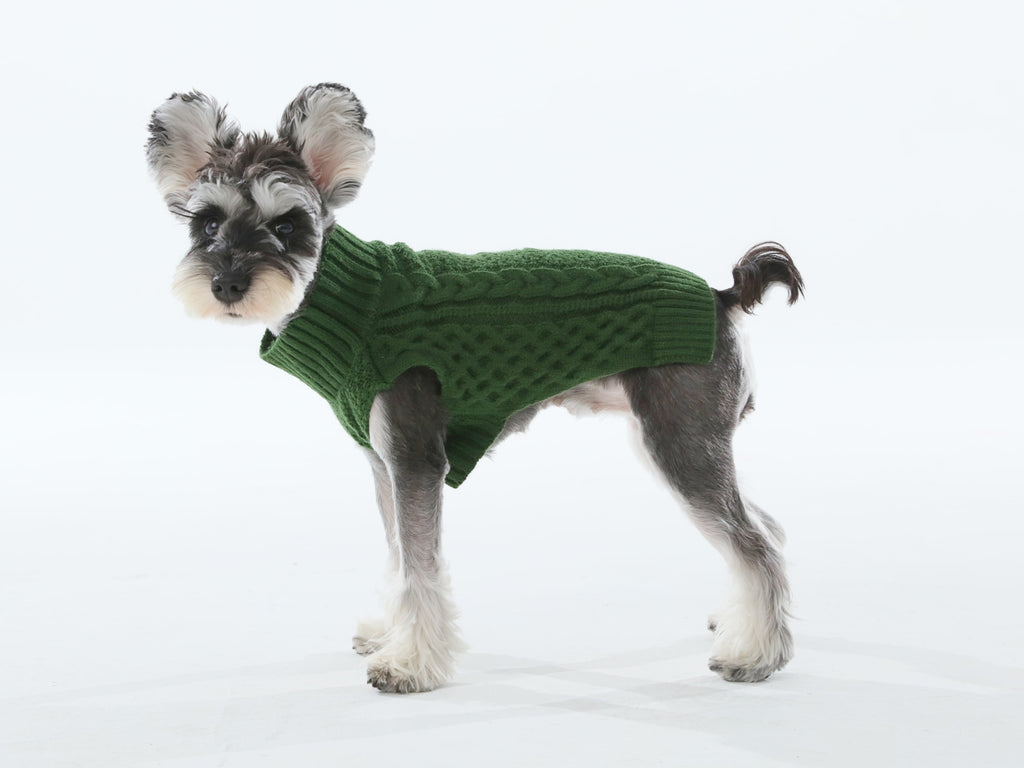 The Sweater Vest in Green