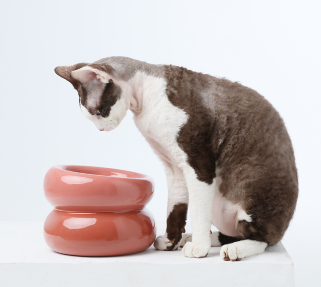 The Soufflé Bowl in Rose Pink
