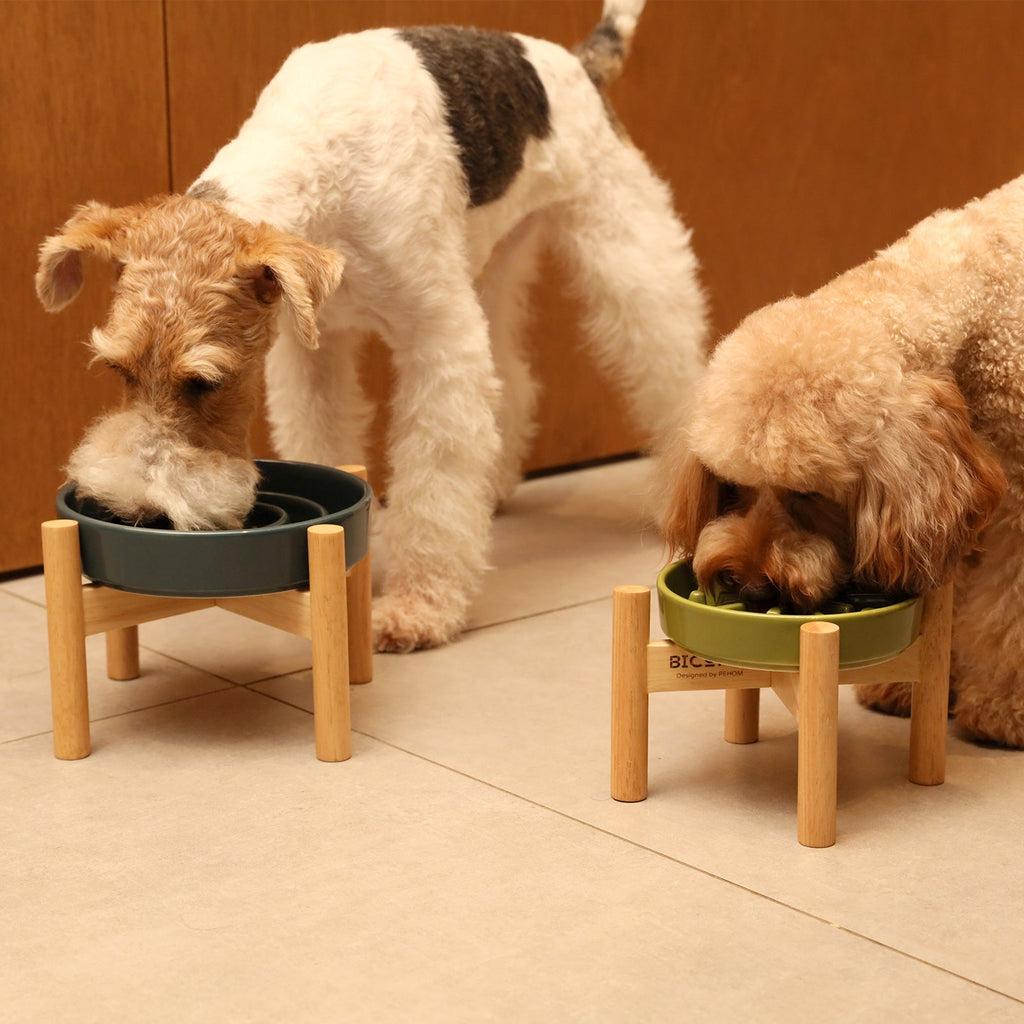Spark Slow Feeder Dog Bowl