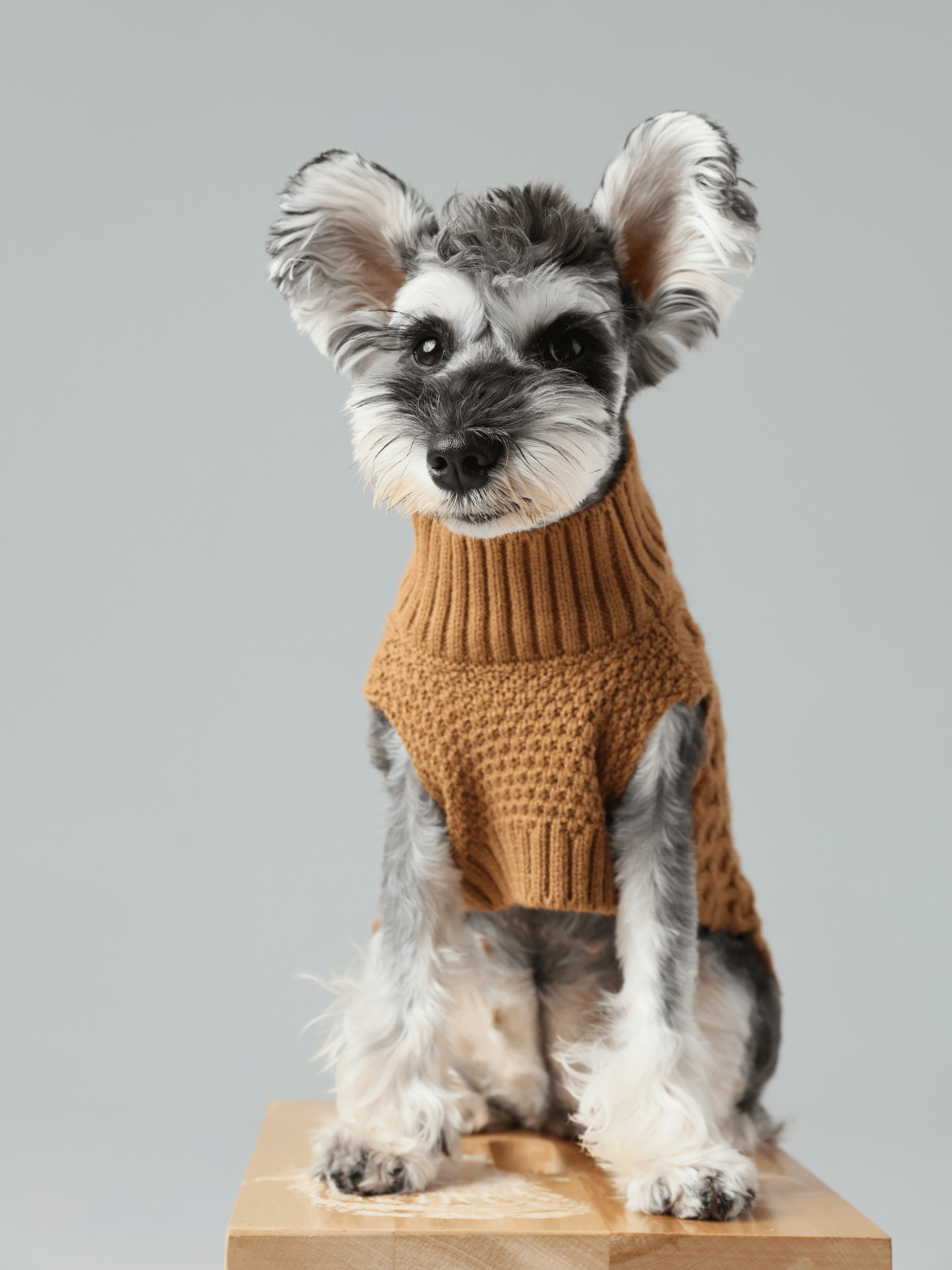 The Sweater Vest in Toffee