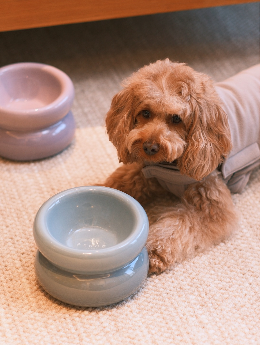 The Soufflé Bowl in Frozen Blue
