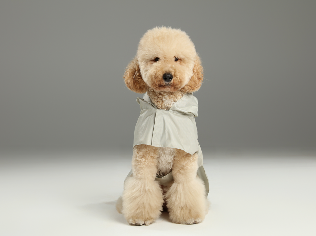 Capsule Raincoat in Beige