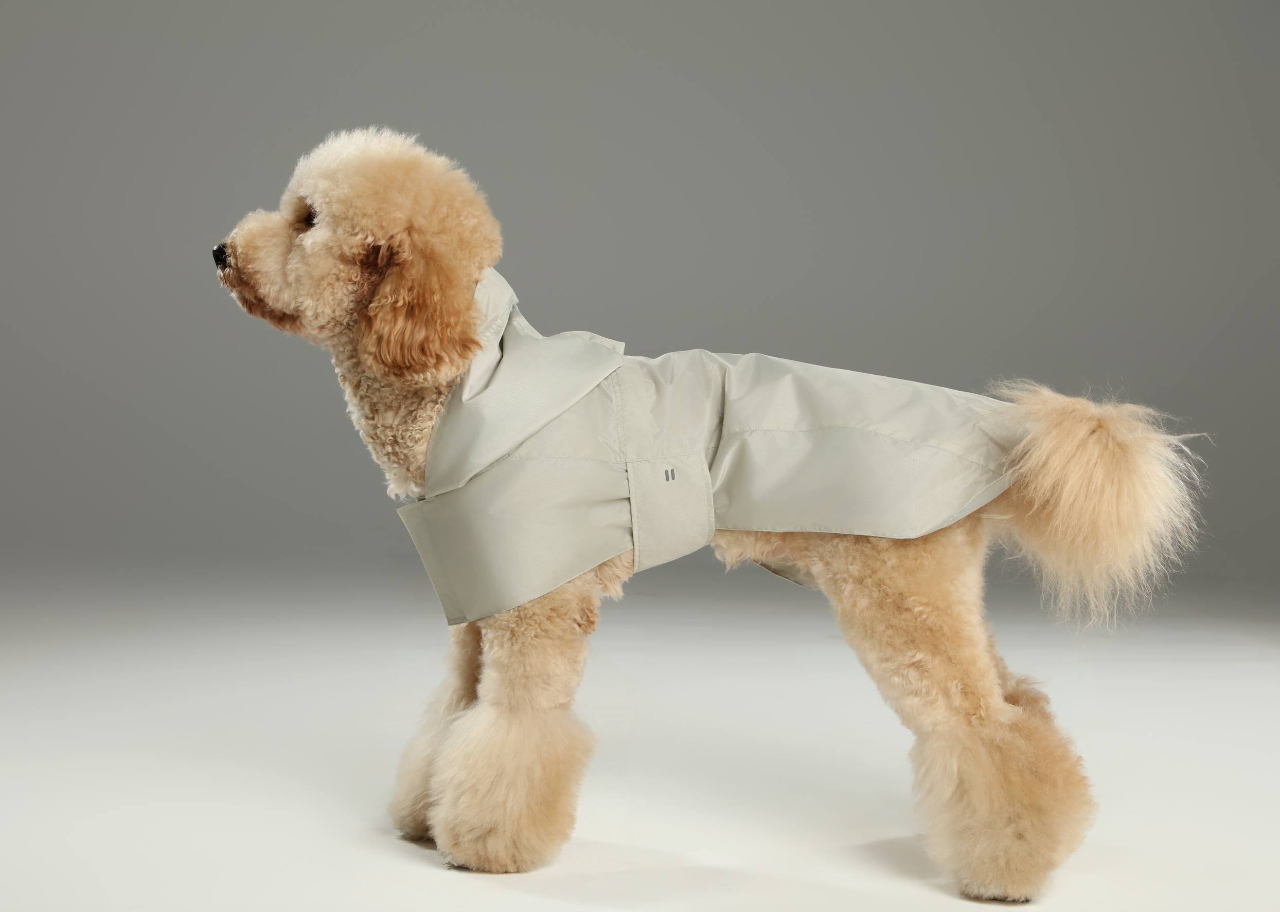 Capsule Raincoat in Beige