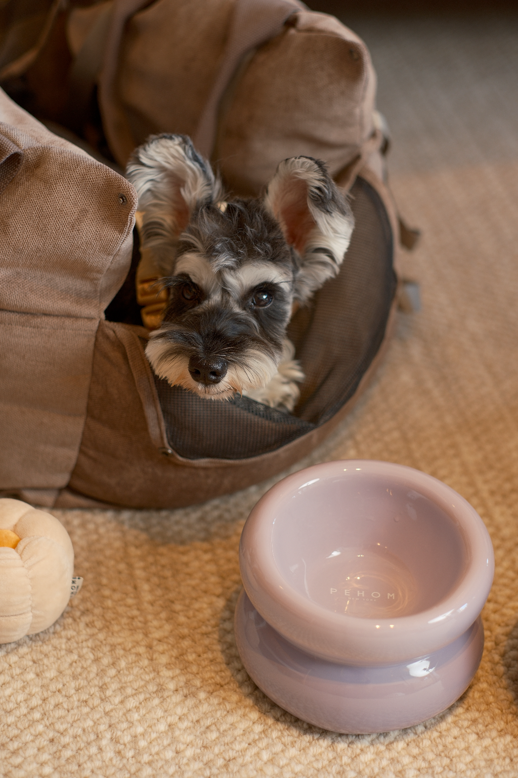 The Soufflé Bowl in Lilac