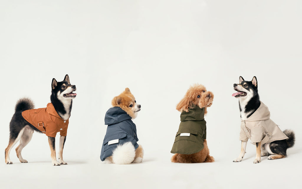 Bowery Raincoat in Sage